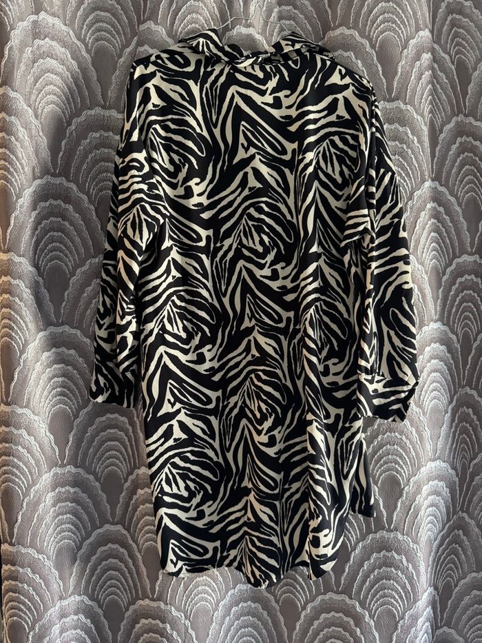 Robe zèbre - photo numéro 2