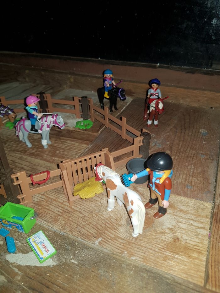 Lot équitation playmobil - photo numéro 8