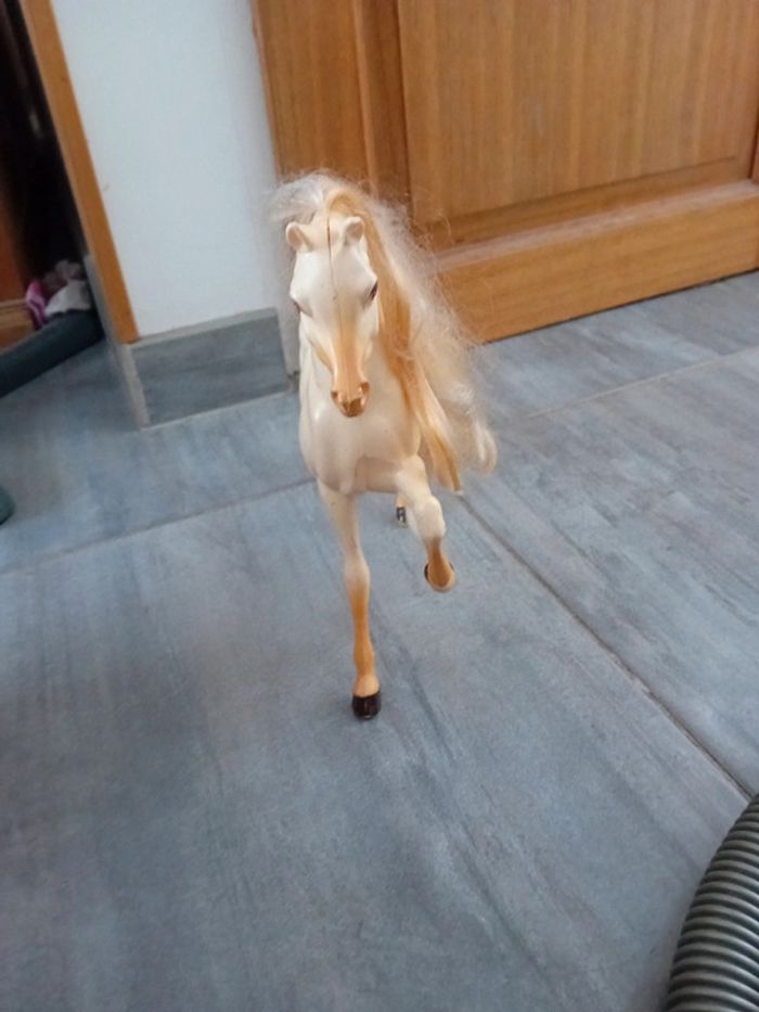 Cheval à donner - photo numéro 2