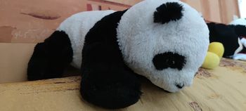 Peluche Panda 🐼