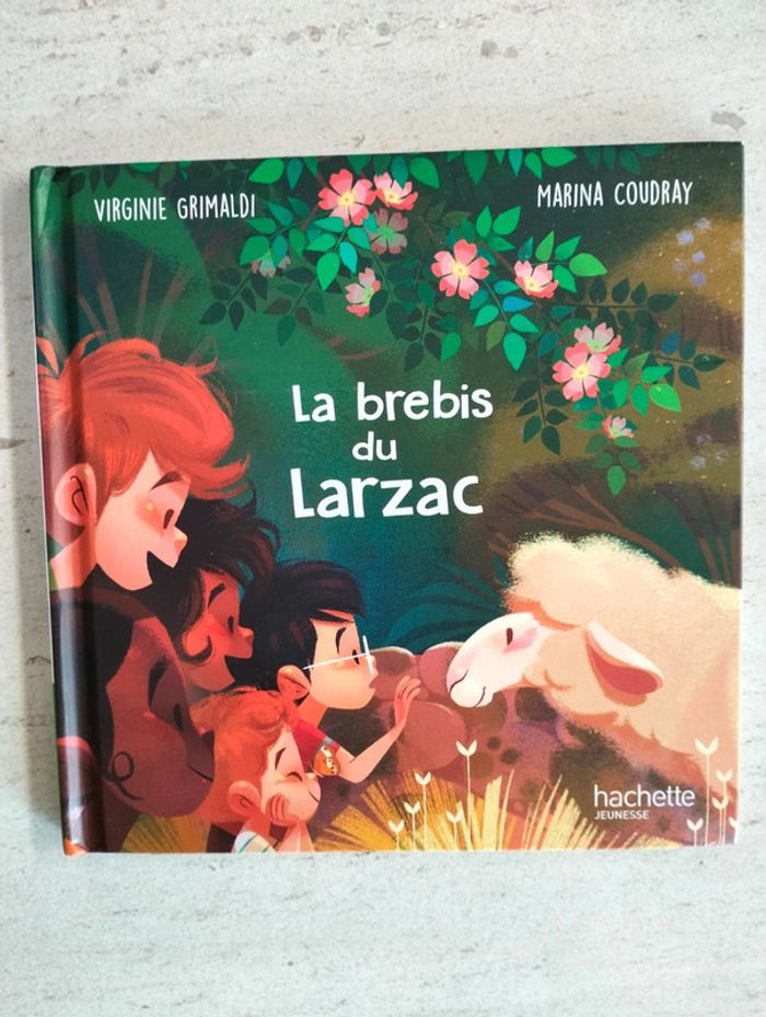 Livre - photo numéro 2