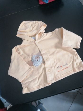 Gilet 6 mois absorba