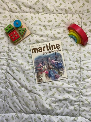 livre Martine prend le train casterman