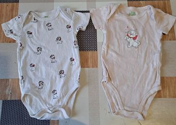 Lot bodies manches courtes 