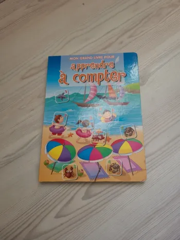Mon grand livre pour apprendre à compter