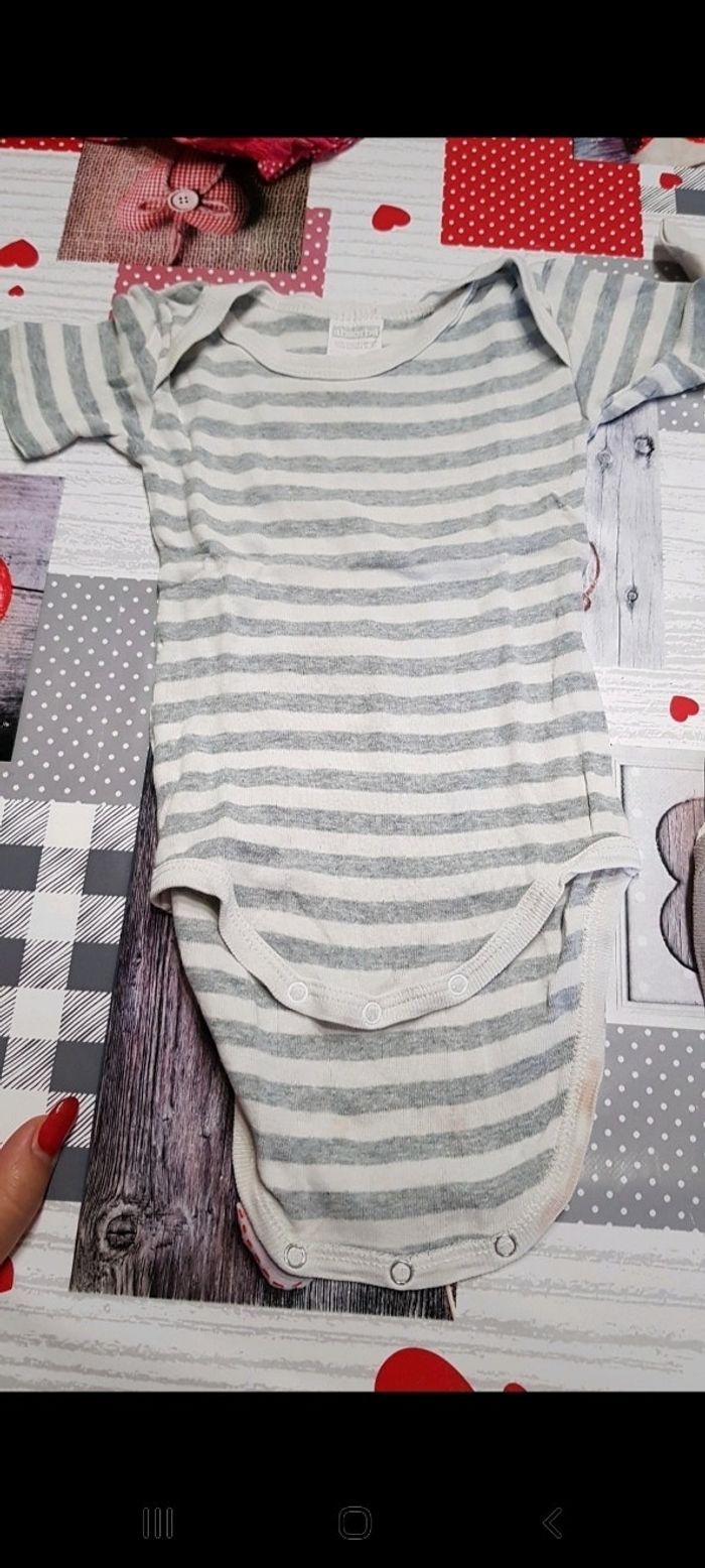 Lot 2 bodys Absorba 12mois - photo numéro 3