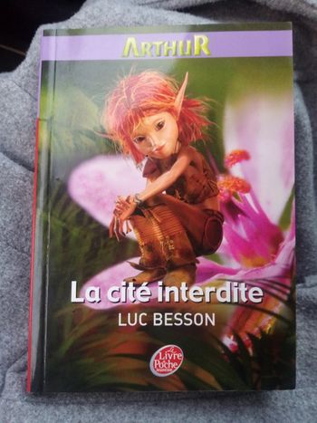 Arthur - La cité interdite Tome 2