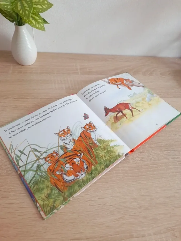 Livre enfant / Ridja la douce - photo numéro 5