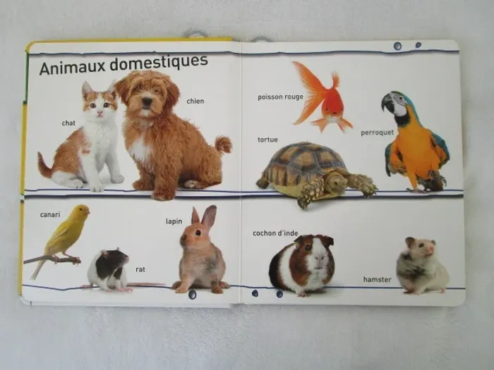 Animaux TBE - photo numéro 3