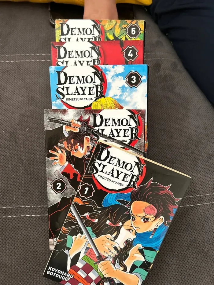 Lot manga Demon Slayer - photo numéro 2