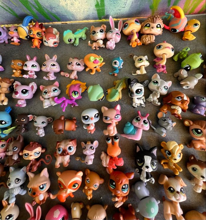 Little Petshop - photo numéro 2