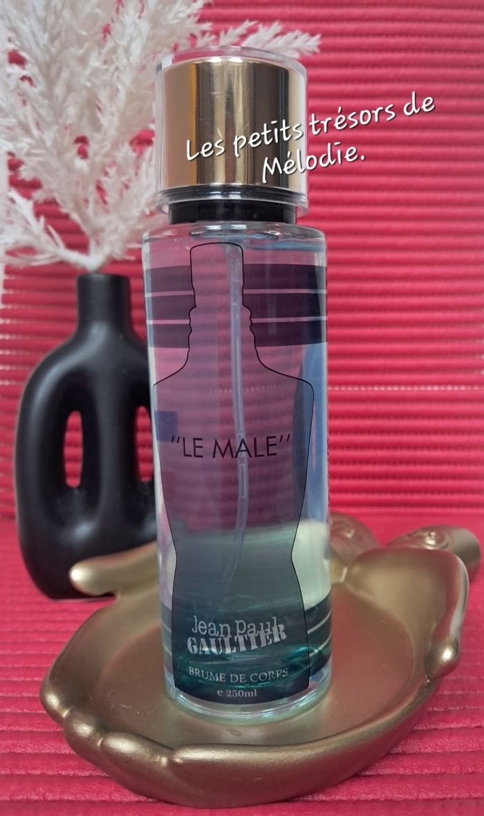 Brume corporelle 250ml  Le Male
