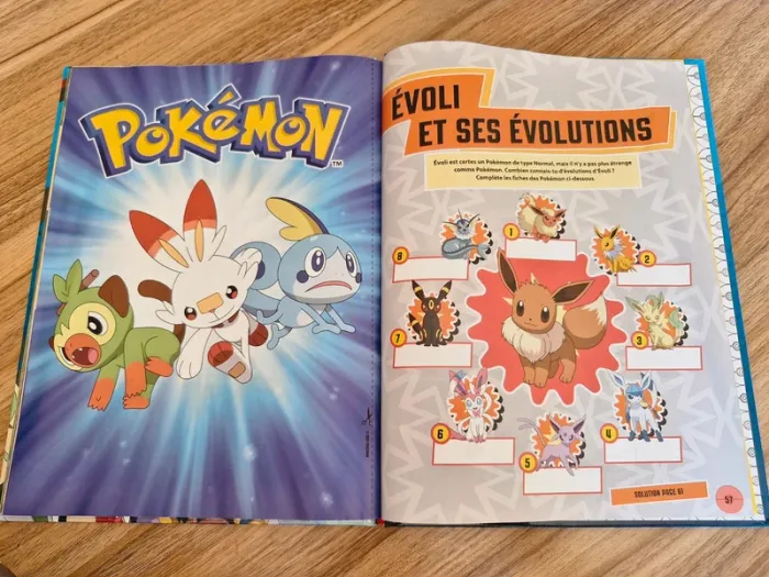 Livre Pokémon - photo numéro 4