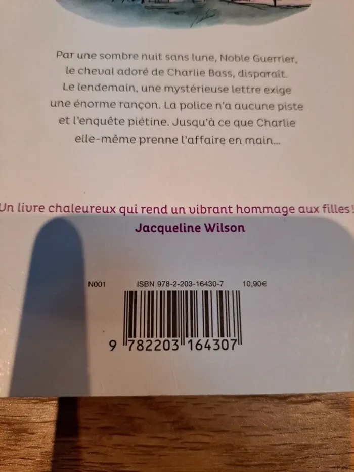 Livre "Mon cheval a disparu" Clare Balding - photo numéro 3