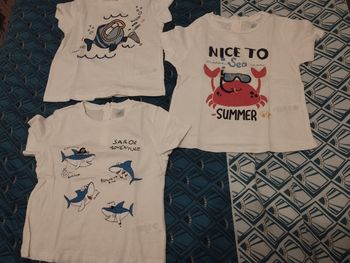 Lot tee shirts 23 mois en coton