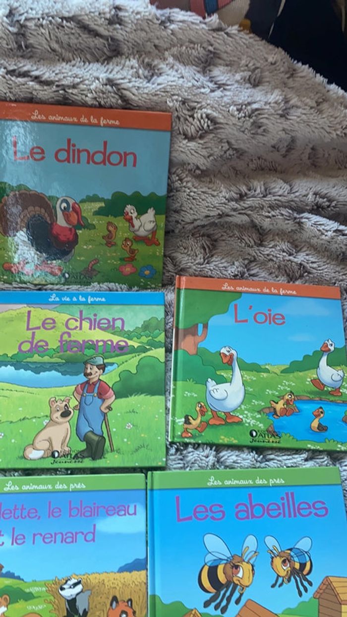 lot collection livre augustin et la ferme - photo numéro 4