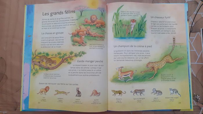 Premier atlas des animaux - photo numéro 2