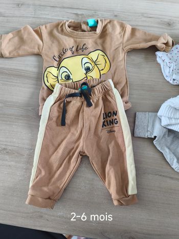 Ensemble simba