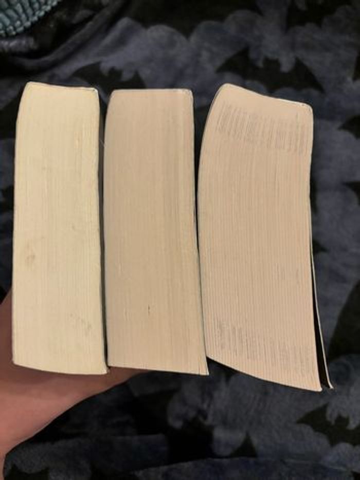 Livres dark romance - photo numéro 5