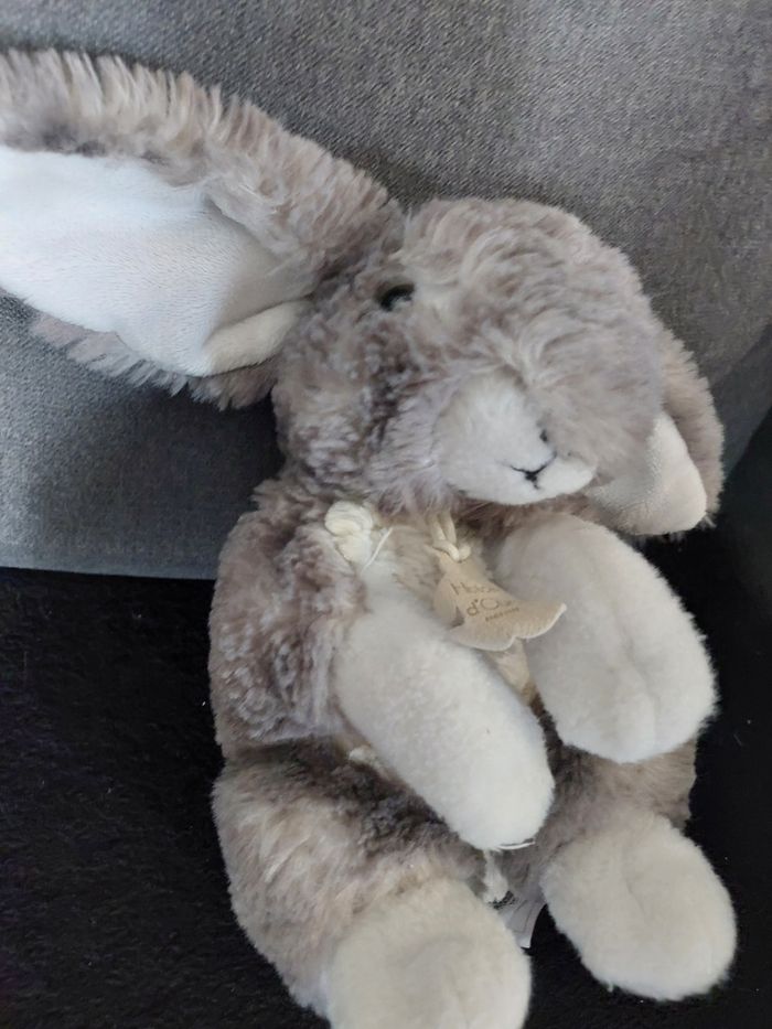 Doudou - photo numéro 2
