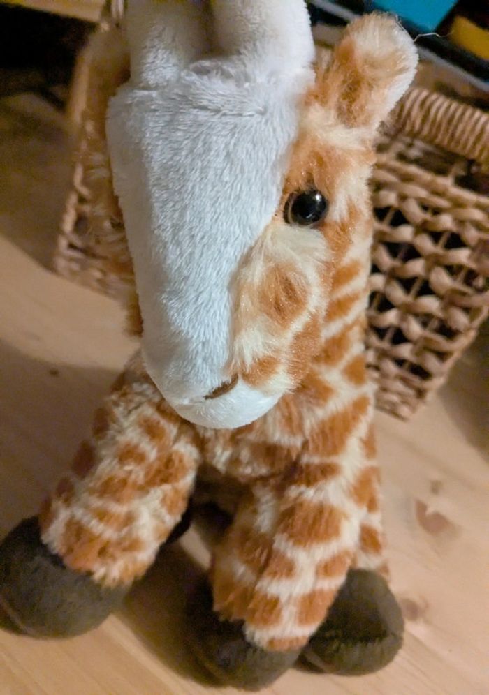 Girafe atmosphera