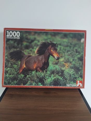 Puzzle 1000 pièces cheval