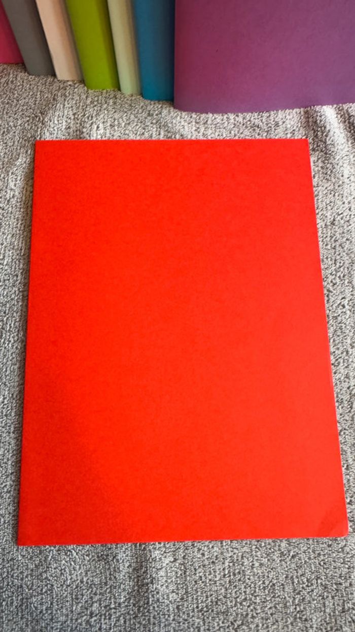 Ensemble de 1 chemise rigides rouge