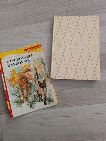 L'incroyable randonnée rouge et or