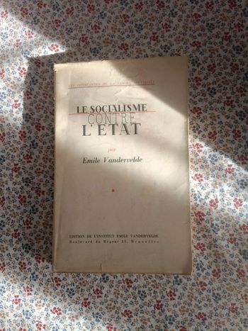 Le Socialisme contre l'Etat