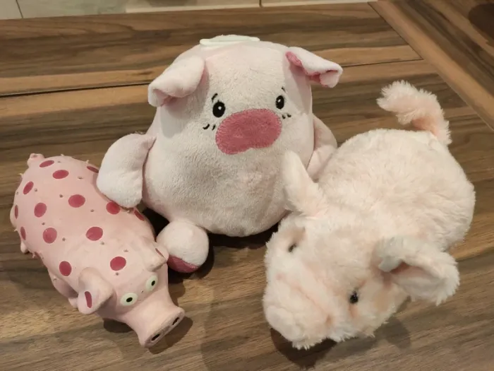 Lot cochons