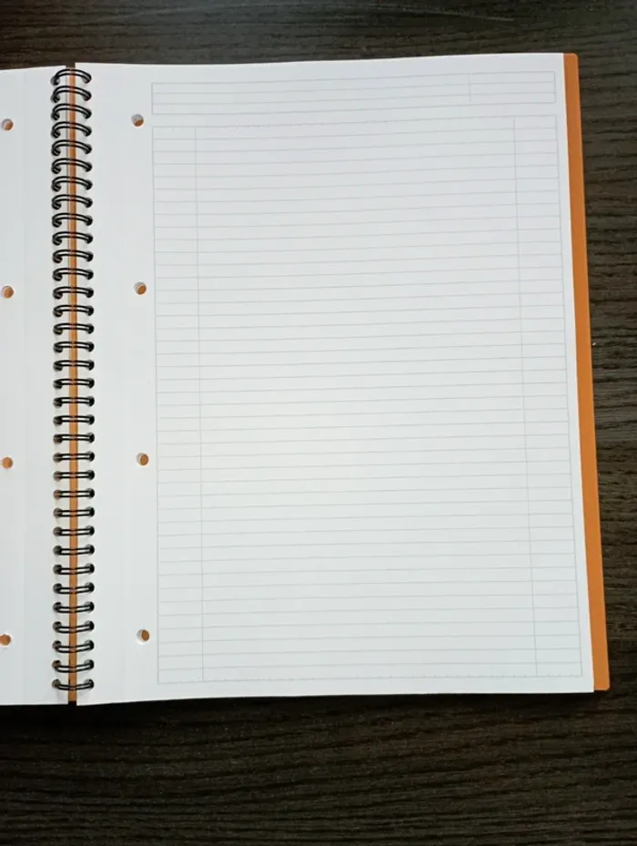 Cahier 160 pages A4 lignées - photo numéro 5