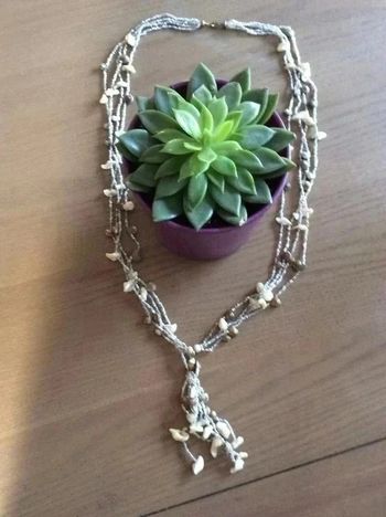 Collier coquillages
