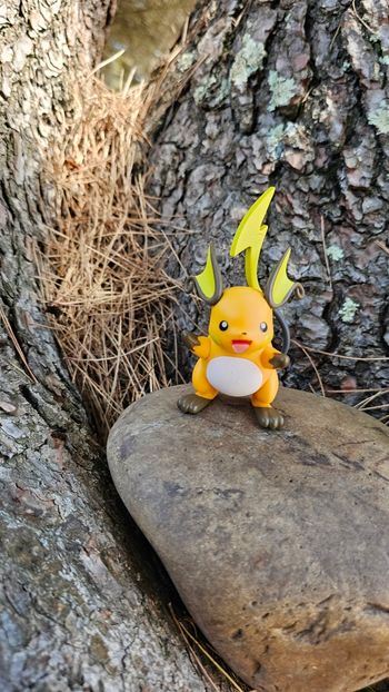 Super figurine Pokemon Nintendo Raichu