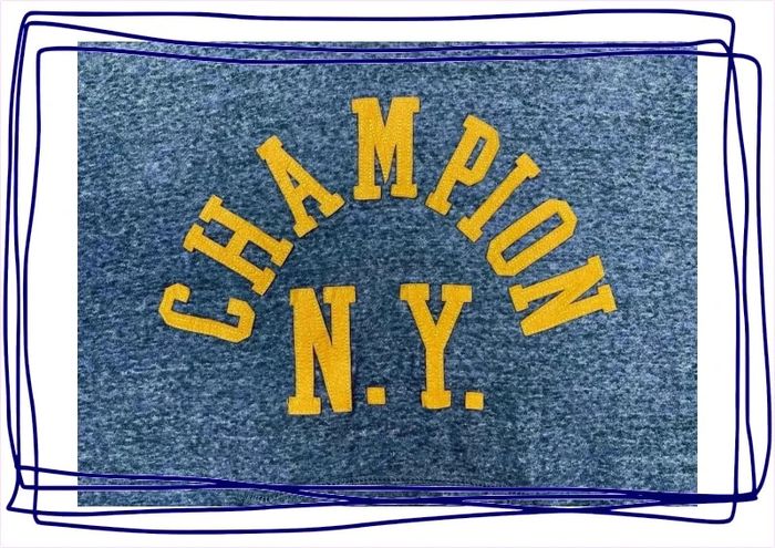 Pull / Sweat à capuche Champion NY - photo numéro 2