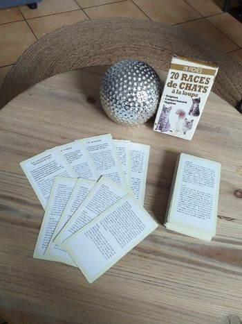 78 fiches de chats à la loupe - Euro sercice