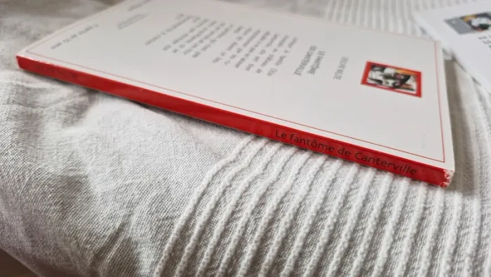 Le fantôme de canterville d oscar wilde - photo numéro 5