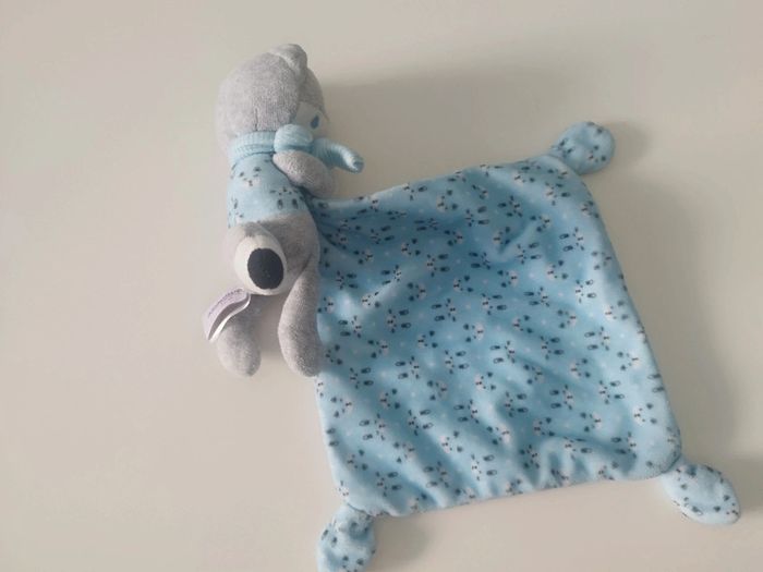 Renard Pommette - photo numéro 4