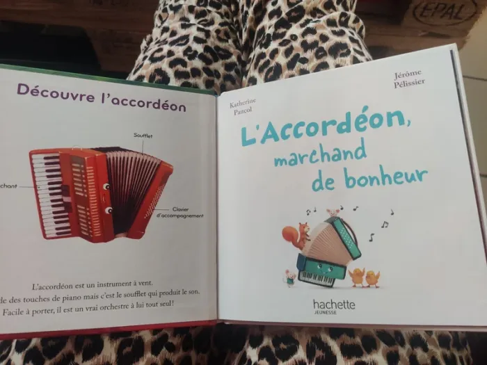 L'accordéon marchand de bonheur - photo numéro 3