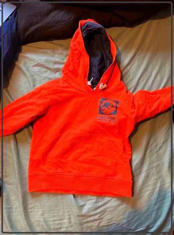Pull  jurassic world 6ans