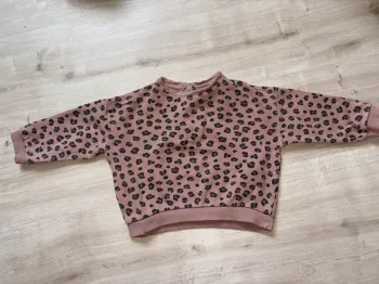 Pull léopard