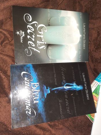 Tome 1 et 3 Laurie farine stolarz gris secret bleu cauchemar