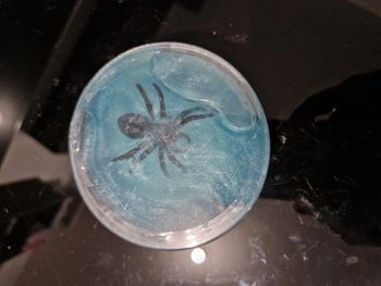Spider slime