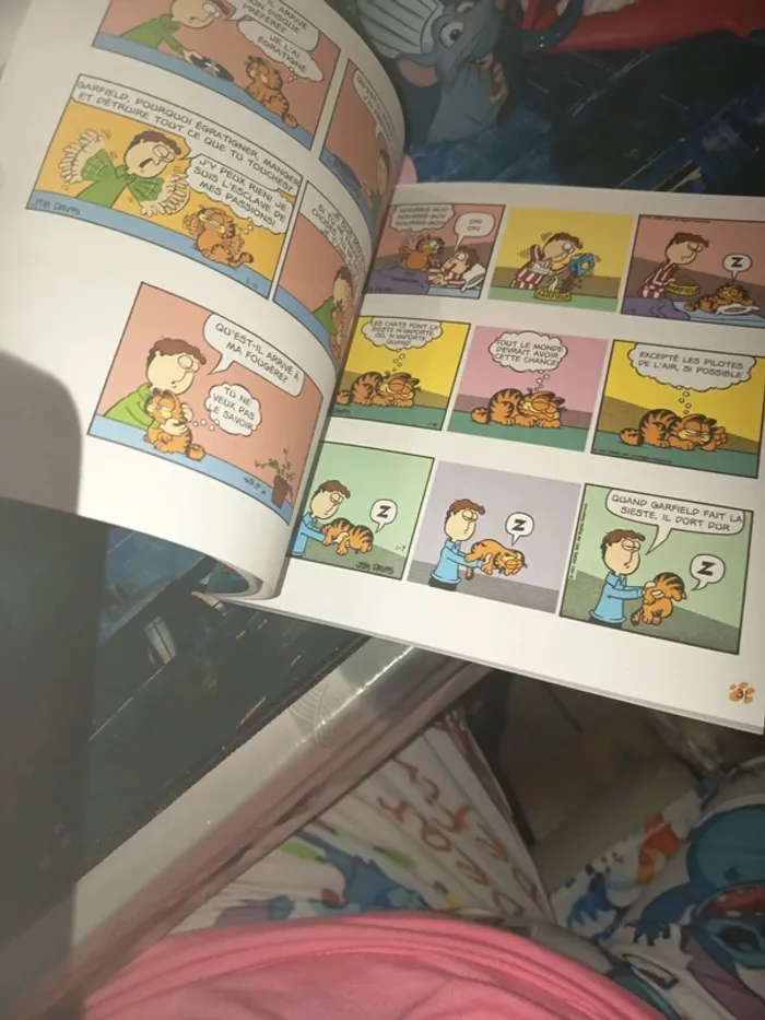 Garfield 33 - photo numéro 6