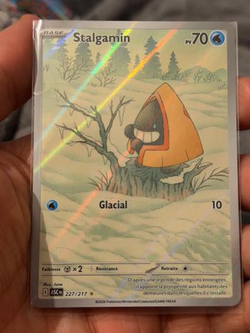 Stalgamin - héros transcendants - ASC 227