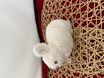 Doudou lapin blanc HISTOIRE D'OURS