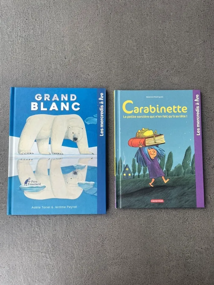 Lot 2 livres enfant Casterman