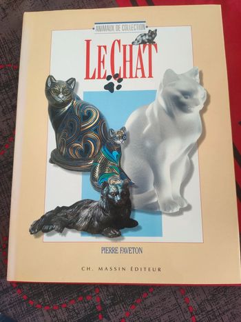 Le chat de pierre faveton