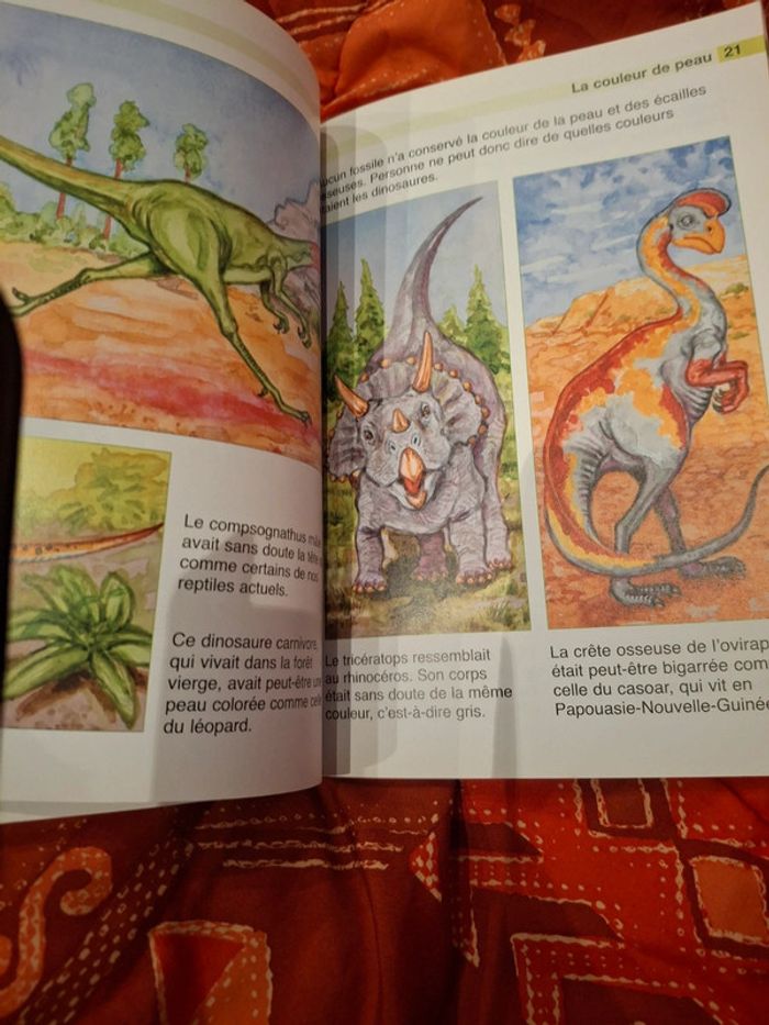Livre Dinosaure enfant - photo numéro 4