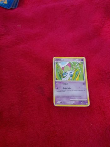 Carte pokemon