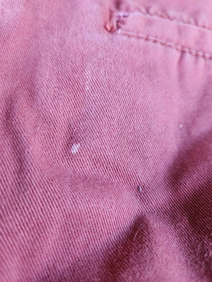 Pantalon de toile - photo numéro 8
